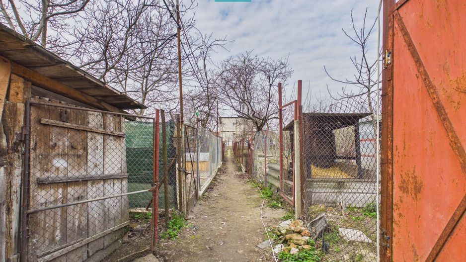 Apartament la curte comună în Aradul Nou - Poză 9