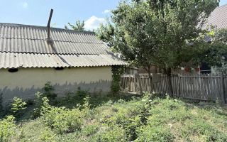 Casă + Teren 521 mp în Sat Bălteni, Comuna Probota, Județul Iași - Poză 8