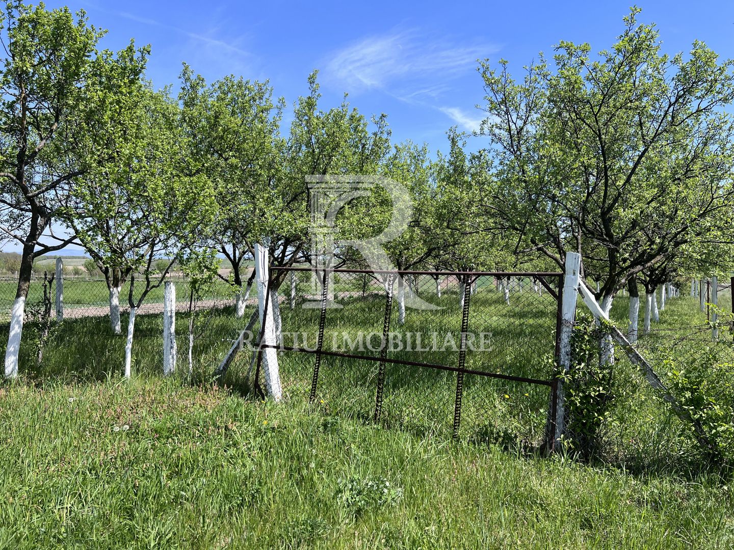 Casă de vacanță + livadă | teren 3000 mp | Chijic | Bihor - Poză 14