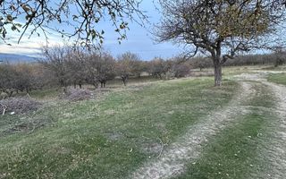 Teren 7199mp Intravilan cu Vedere Panoramica Superbă, Ideal Investitie - Poză 20