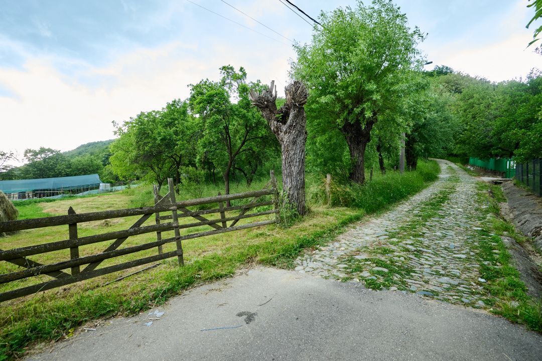 Casa cu teren generos - 4696 mp Apa Sarata - Campulung !! - Poză 15