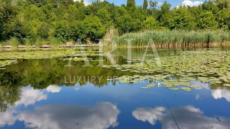 VILA PONTON | LAC Snagov - Poză 8