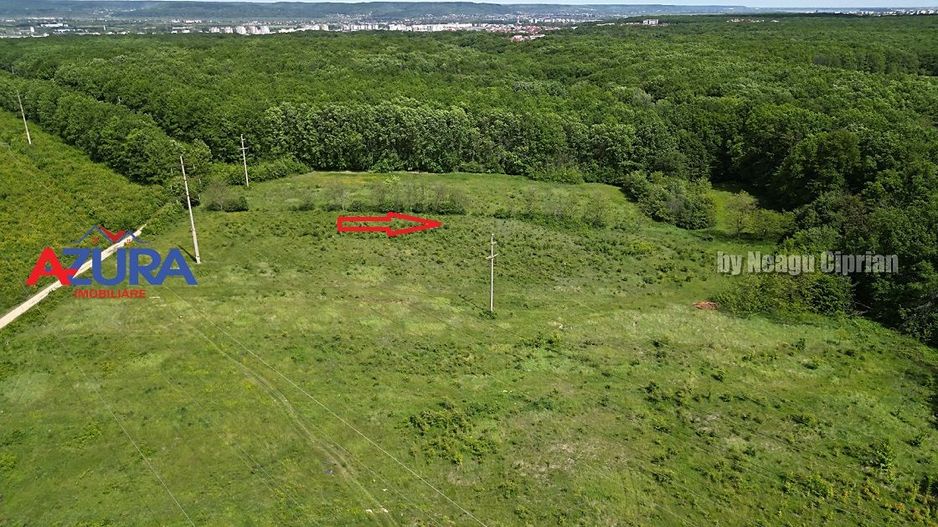 Vanzare teren Balotesti, la padure - Poză 2