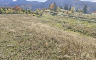 Teren extravilan 23932 mp | Tiha Bârgăului - Poză 5