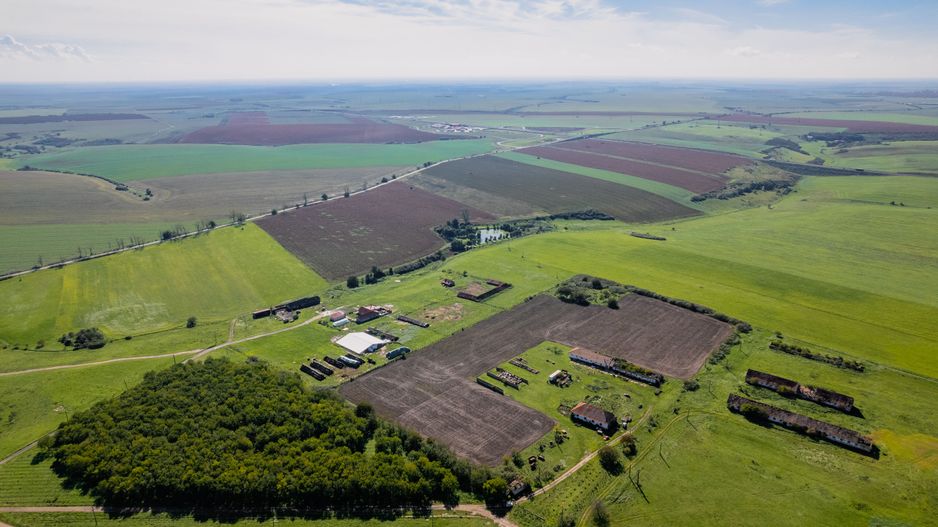 Teren de 69188 mp în Seceani - Poză 3