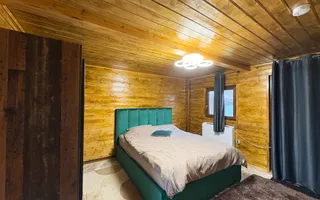 Casa de vacanta I 4 camere I Daia I Teren 580 mp i - Poză 14
