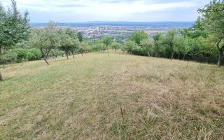 Teren de vânzare | Suprafață 10.040 mp | 2.500 € / ar | Strada Nucului - Poză 1