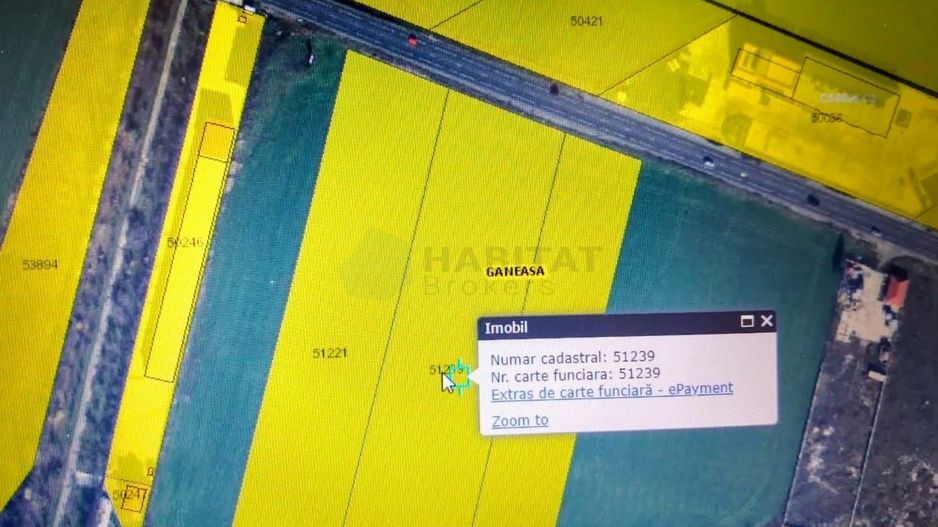 Teren intravilan 15.000 mp – DN2 Afumați - Poză 3