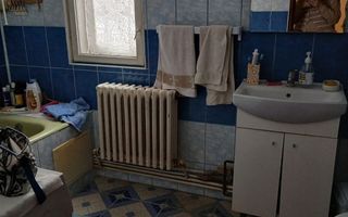 Casă de vânzare în Picioru Lupului, comuna Ciurea – Gospodărie autosuficientă, la marginea pădurii - Poză 6