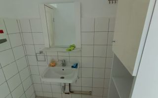 Spatiu Depozitare si Birouri | Zona Industriala Freidorf | Acces Auto/TIR - Poză 7