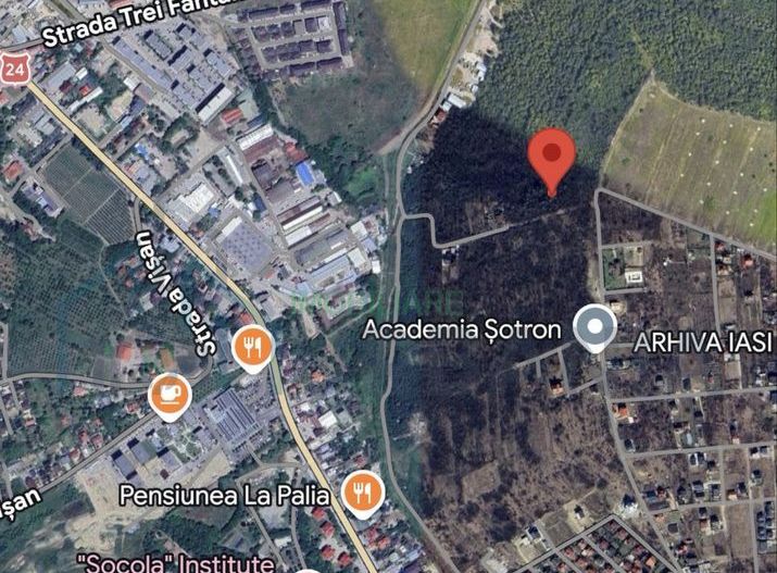 Vând teren Extravilan Bucium - Poză 1