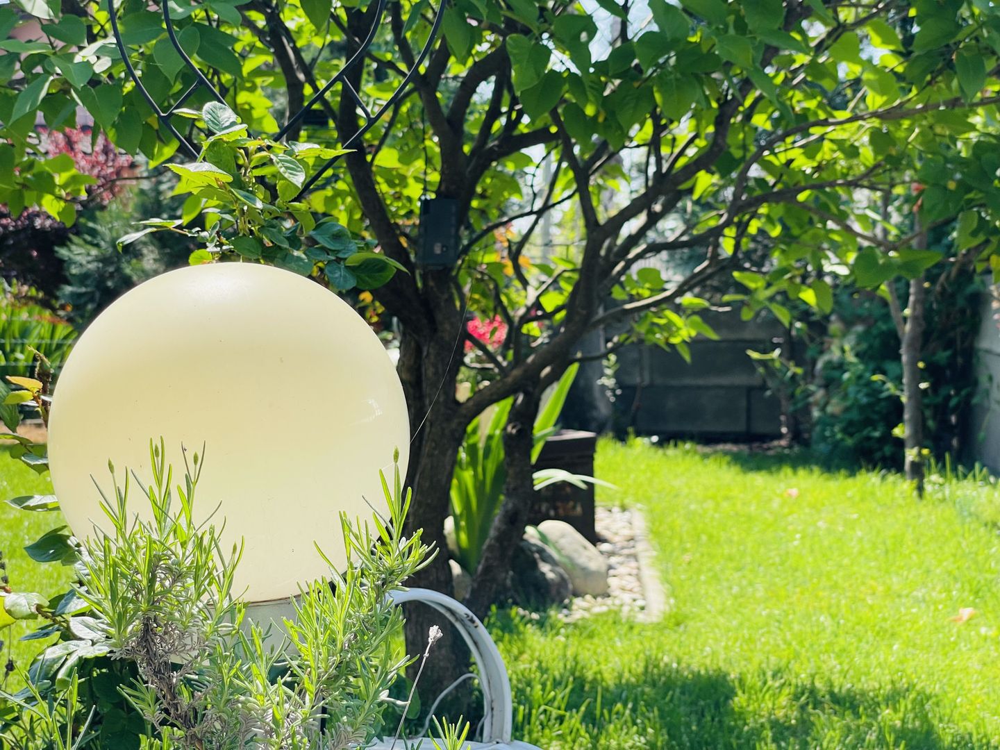 OFERTA VANDUTA - Casa Sacalaz - curte superba | 180 mp, 5 camere - Poză 9