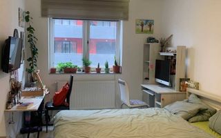 Apartament tip studio Avantgarden 3 - Poză 3