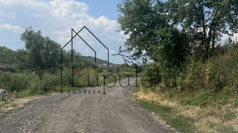 Teren Intravilan |5.000 MPU | Șura-Mare | - Poză 2