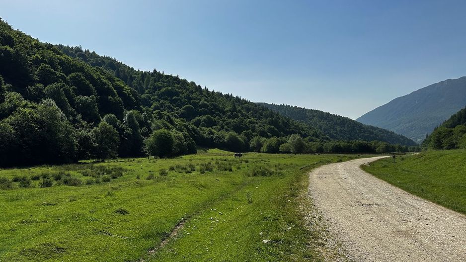 2 Loturi a 2124+2744mp Barsa Fierului / Plaiul Foii - Poză 7