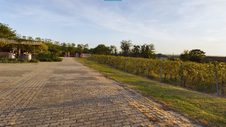 Spațiu comercial - Crama Pivnițele Birăuaș - Poză 24