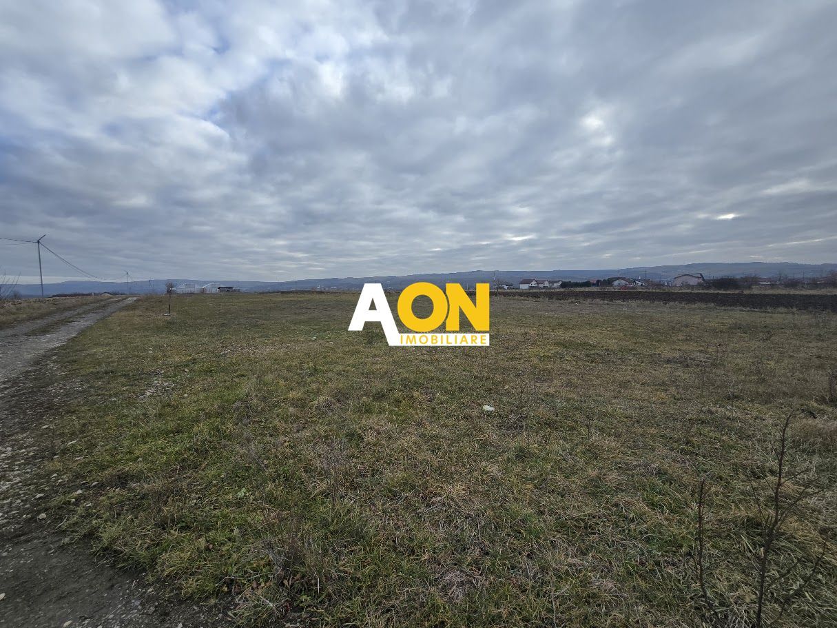 Teren Intravilan 10.000MP Zona Partos - Poză 1