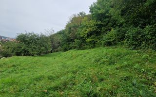 Exclusivitate!! Teren intravilan | Valea Ghinzii | 34 ari | - Poză 10