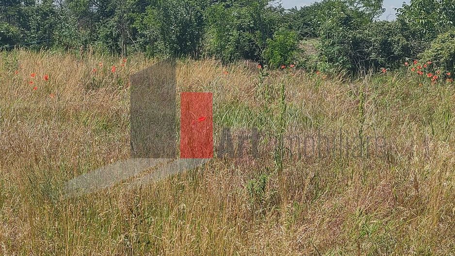 Vânzare 2 loturi de casă Dobreni Giurgiu - Poză 5