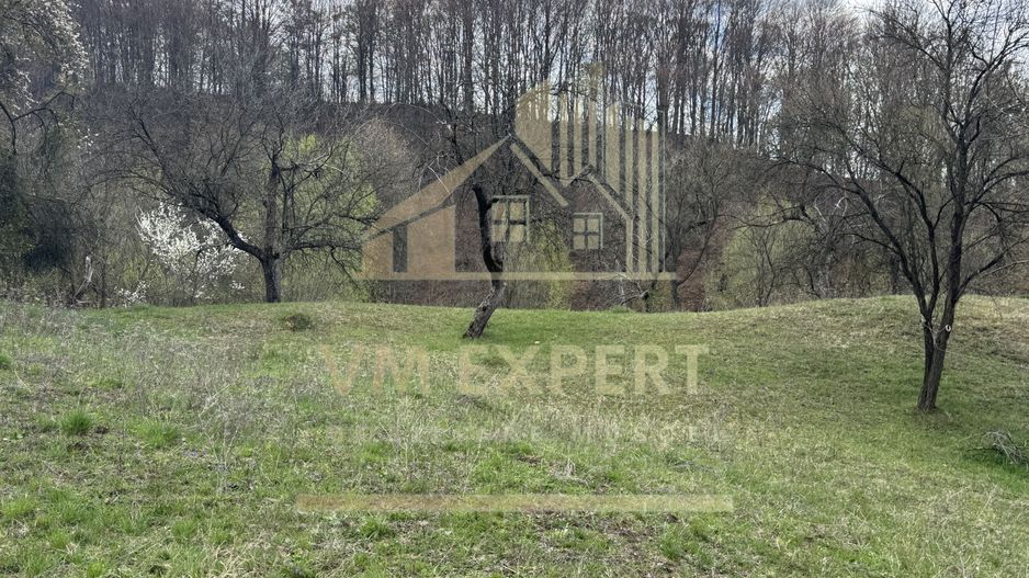 TEREN INTRAVILAN 4365 MP POENARII DE MUȘCEL  JUDEȚUL ARGES - Poză 27