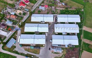 COMISION 0% - HALE Calinesti Arges - Poză 95