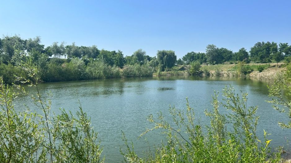 Iaz Piscicol Bacau Saucesti - Poză 10