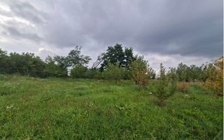 TEREN 20.621 MP CAMPULUNG - Poză 3