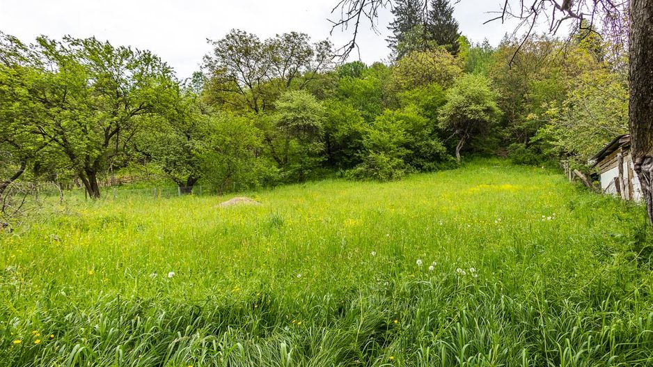 Casa traditionala + 8.500 mp teren, intravilan, Sinca Noua, Brasov - Poză 10