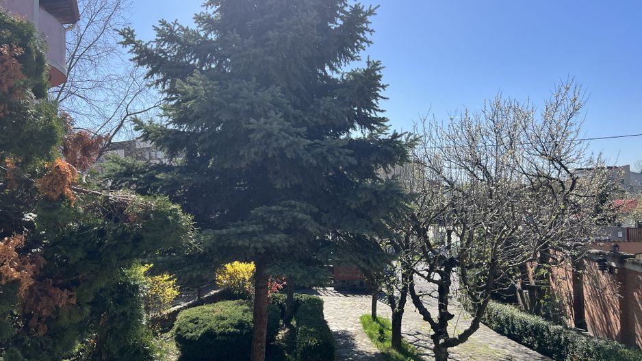 Vila superba Baneasa - Dobrogeanu Gherea - Poză 31