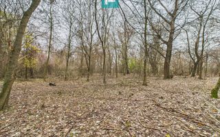 Teren pe malul Muresului- oportunitati multiple - Poză 2