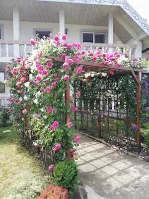 Apartament la parter, casa cu etaj, Mogosesti - Iasi, 10 km, 4 camere, 220 mp, 155.000 RON - Poză 2