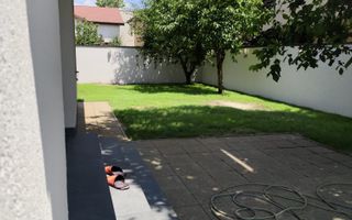 Padurea Craiului - Poză 6