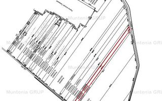 OCAZIE! TARTASESTI - Str. Giurgiului, 20.000 mp. teren intravilan - Poză 6