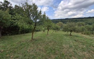 De vânzare teren extravilan în Sibiel, jud. Sibiu – 3223 mp - Poză 3