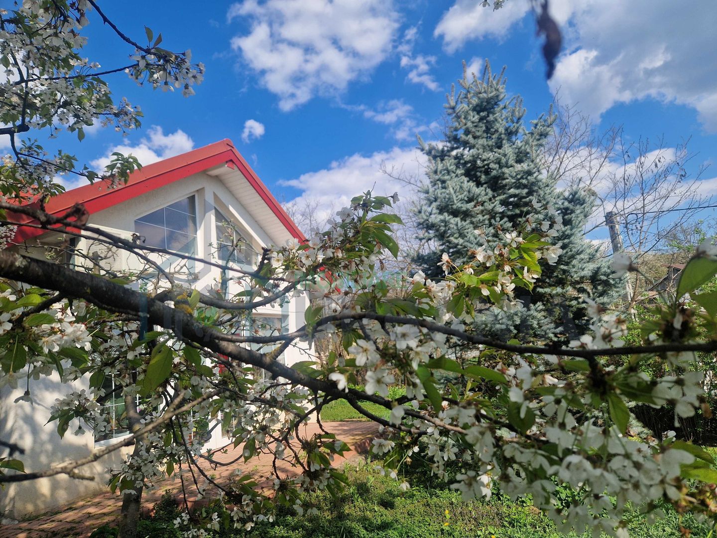 Casă de închiriat în cartierul Bucium, Iași - Poză 1