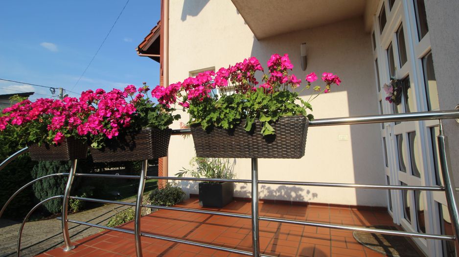 CASA INDIVIDUALA - Poză 17