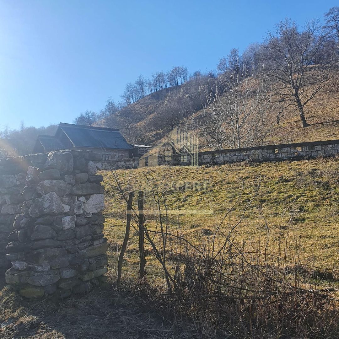 TEREN INTRAVILAN 4614 MP, CAMPULUNG - VALEA ROMANESTILOR - Poză 5