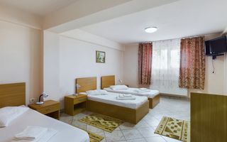 Pensiune in Arad (Vladimirescu) pe DN7 - Poză 15