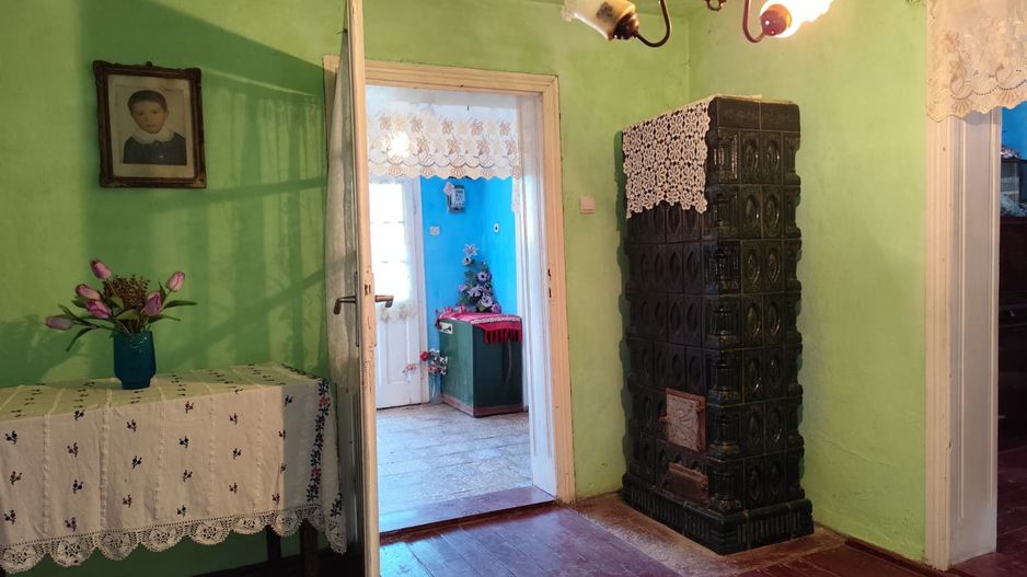 Casa la tara de vanzare, teren mare, 2 intrari auto - Calea Mare, Biho - Poză 7