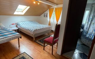 Proprietate in incantarea naturii, oportunitate investitie/rezidential, Predeal - Poză 34