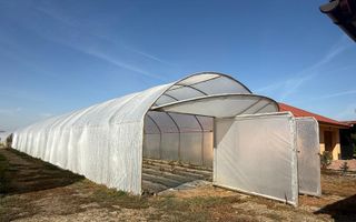 Teren intravilan agricol | 7029 mp | Satu Nou | Bihor - Poză 3