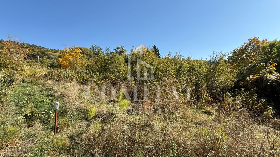 Teren intravilan Făget | 1.490 mp | Front 15 ml | Toate utilitățile - Poză 1