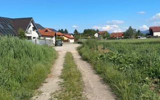 Teren intravilan 3h, Stupini -Str. Oitelor, asfalt si utilitati la 70 m - Poză 9