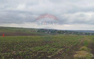 Oportunitate de Investiție – Teren gradina, 10 Ari, r-nul Ialoveni, Răzeni, extravilan - Poză 3