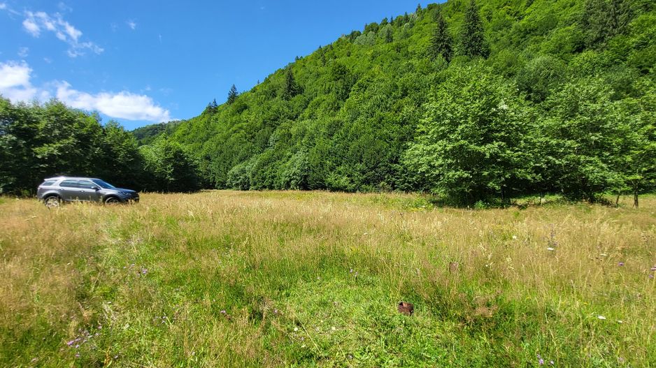 Plaiul Foii, teren pretabil casă de vacanță, pensiune, comision 0% - Poză 10