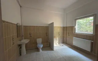 CASA INDIVIDUALA - D+P+1+M - 1550 MP TEREN - CATELU - Poză 23