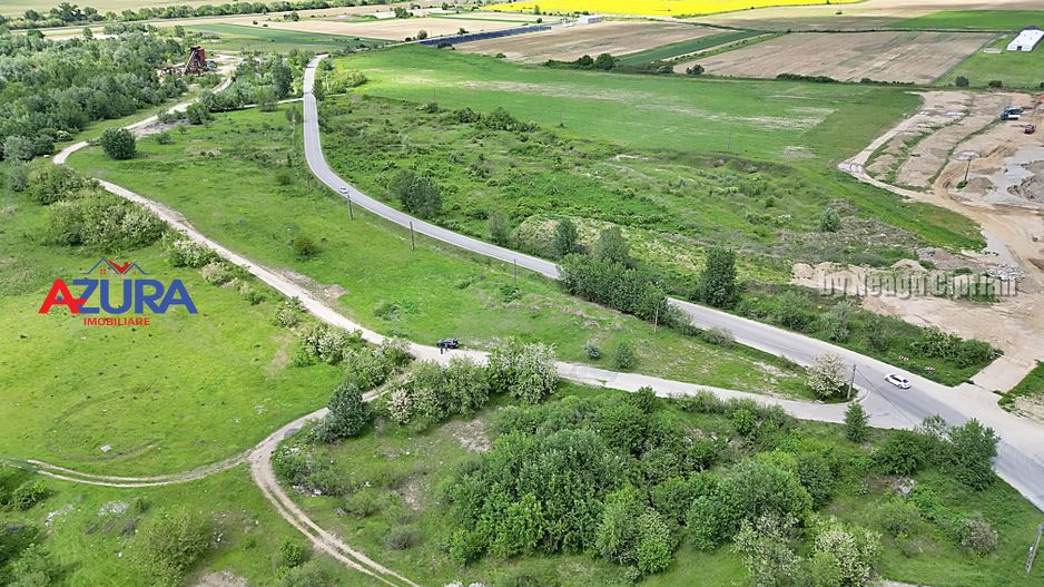 AZURA Imobiliare - Teren Topoloveni Bamesa Autostrada - Poză 8