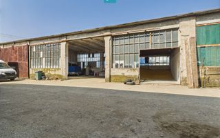 Complex industrial cu hale și teren  în Orțișoara - Poză 11