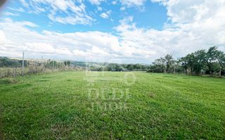 Casa de vanzare si teren de 3000mp in satul Calea Mare, Bihor - Poză 5