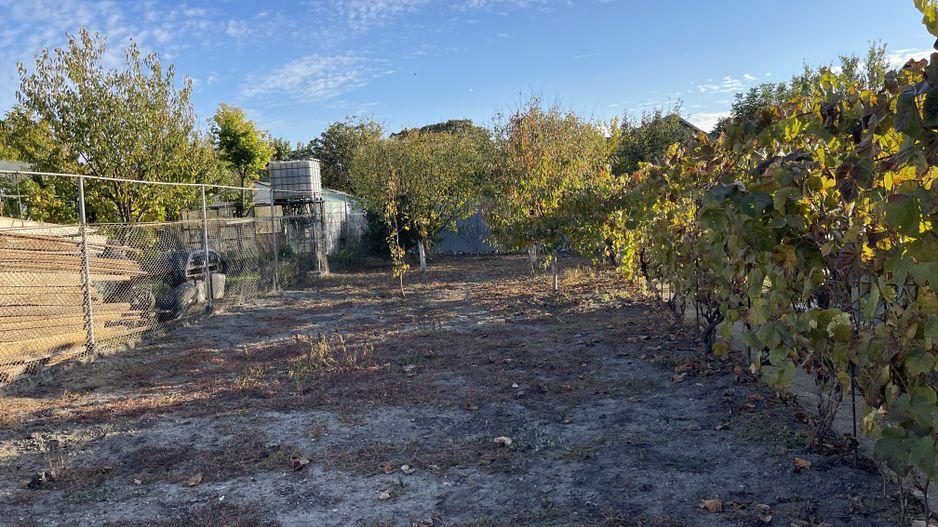 Teren ideal pentru constructie noua-800 mp cu front 22 ml - Poză 2